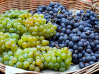 Fresh Grapes