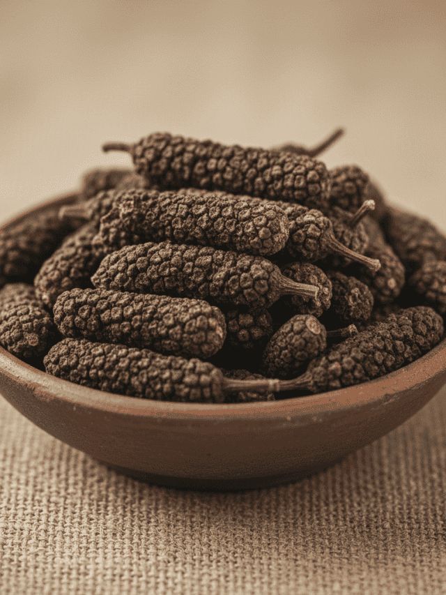 Long Pepper (Badi Pipal / Pippali)